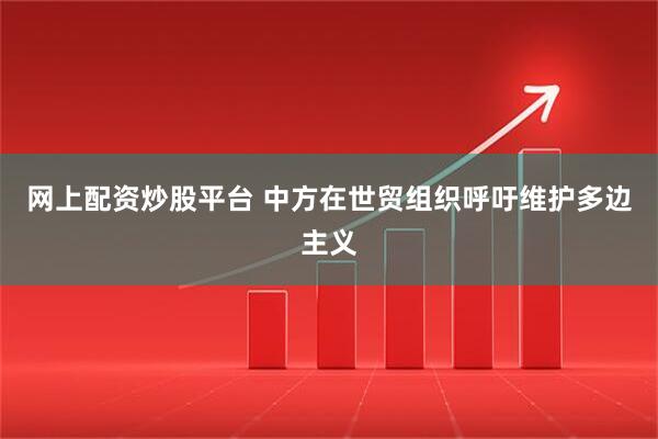 网上配资炒股平台 中方在世贸组织呼吁维护多边主义