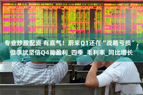 专业炒股配资 有底气！蔚来Q1还在“战略亏损”，但李斌坚信Q4能盈利_四季_毛利率_同比增长