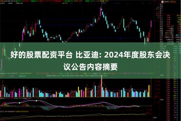 好的股票配资平台 比亚迪: 2024年度股东会决议公告内容摘要